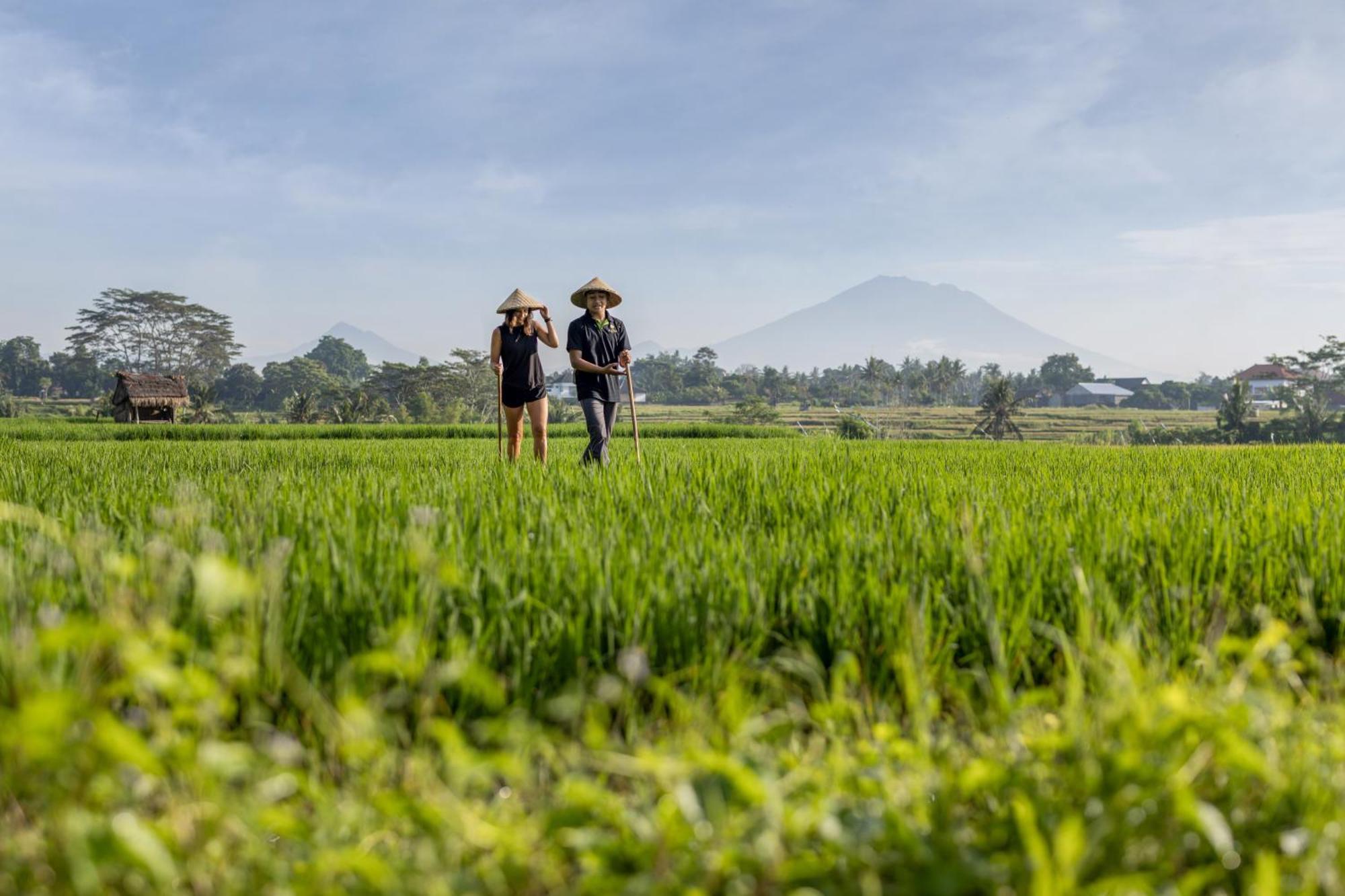 The Alena Resort A Pramana Experience Ubud Exterior foto